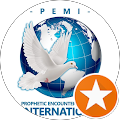 PEMI INTERNATIONAL