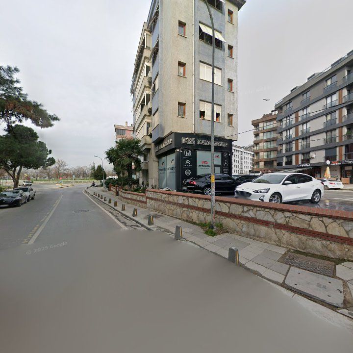 Fotoğraf 12