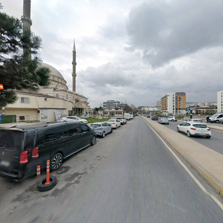 Fotoğraf 9