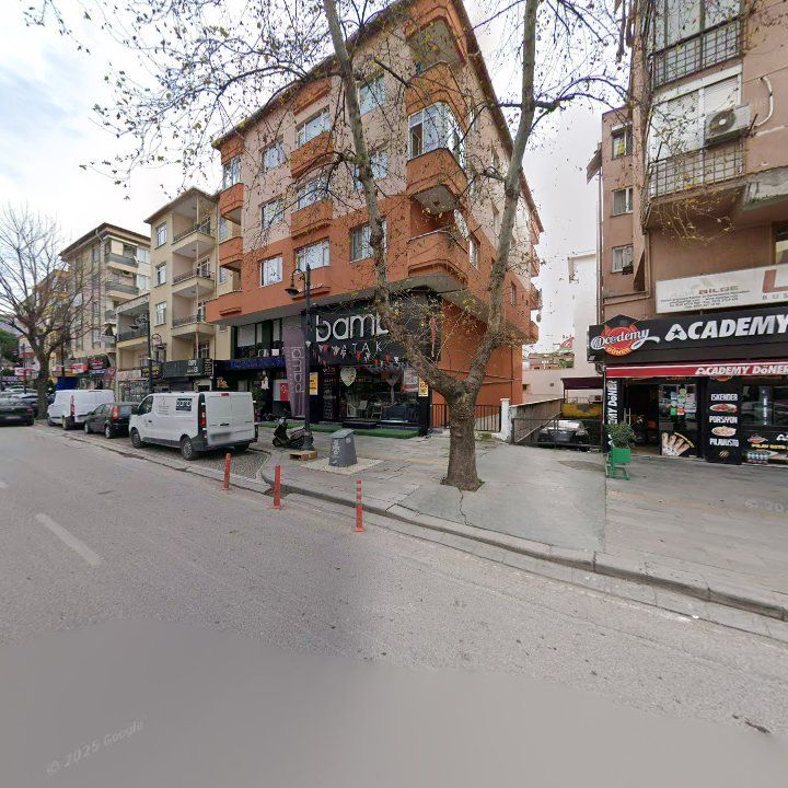 Fotoğraf 12