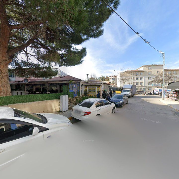 Fotoğraf 10
