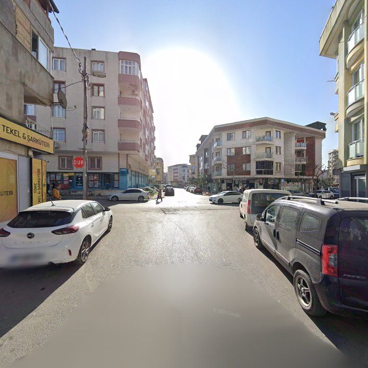 Fotoğraf 5