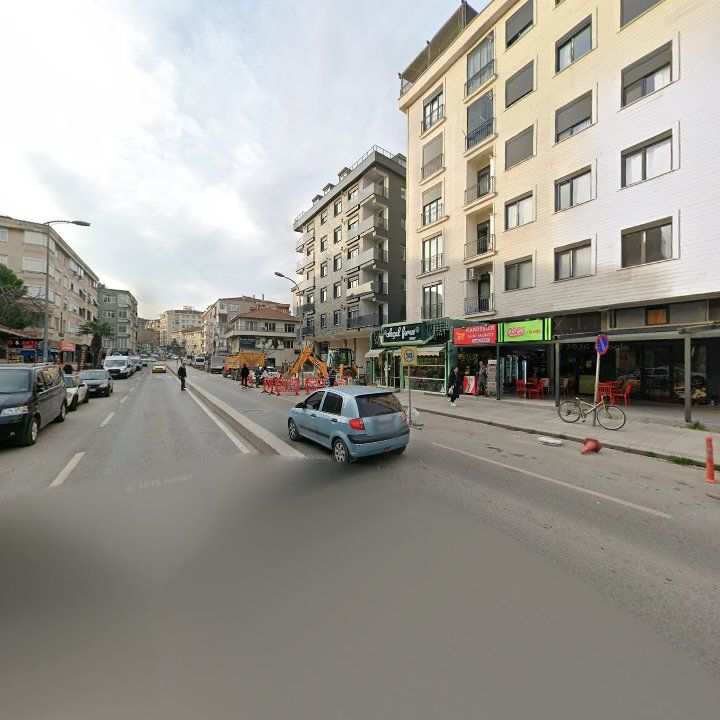 Fotoğraf 13