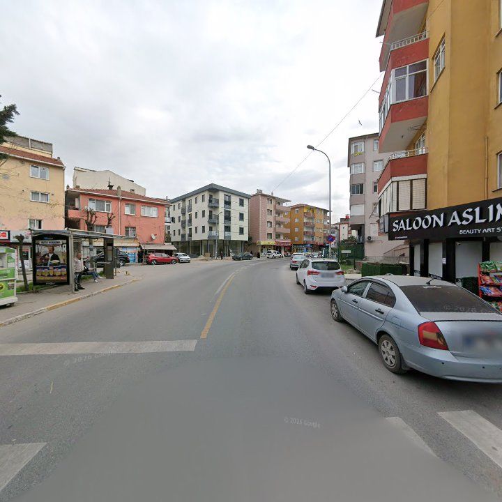 Fotoğraf 6