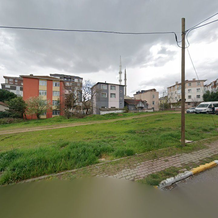 Fotoğraf 9