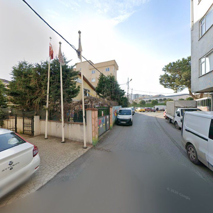 Fotoğraf 8
