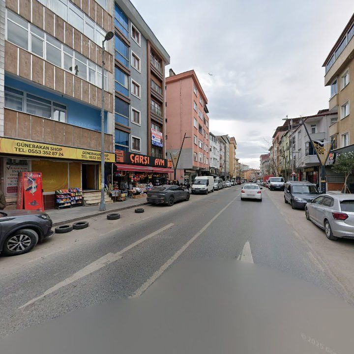 Fotoğraf 8