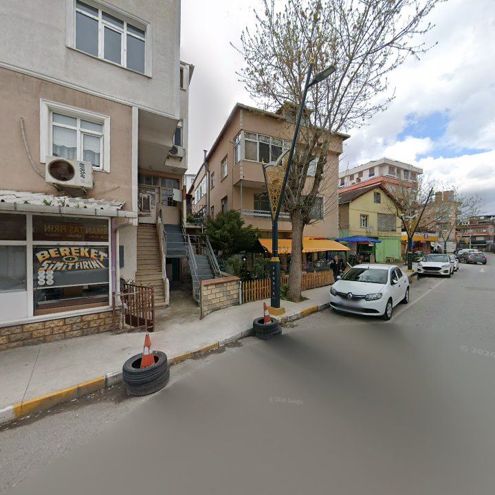 Fotoğraf 7