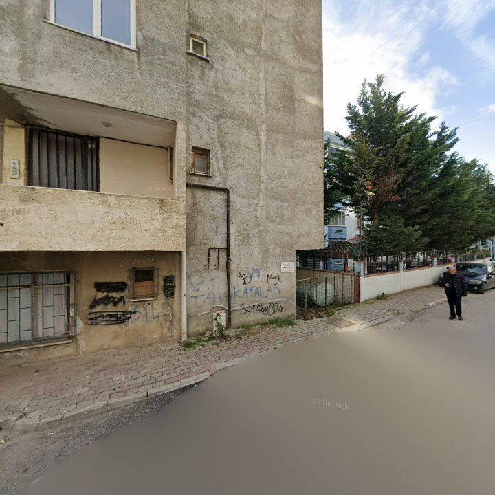 Fotoğraf 9