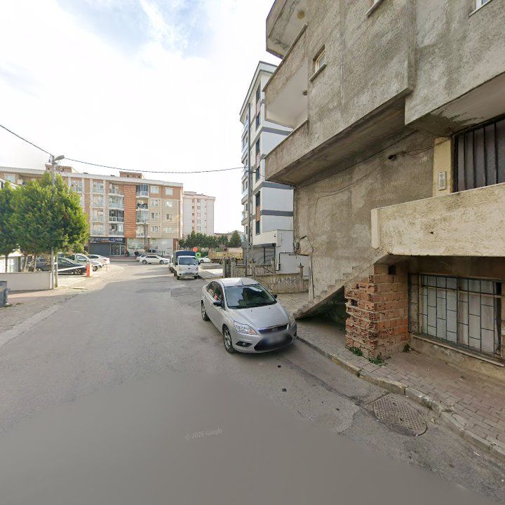 Fotoğraf 12