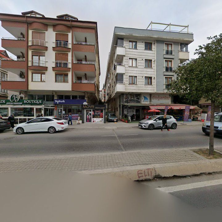 Fotoğraf 12