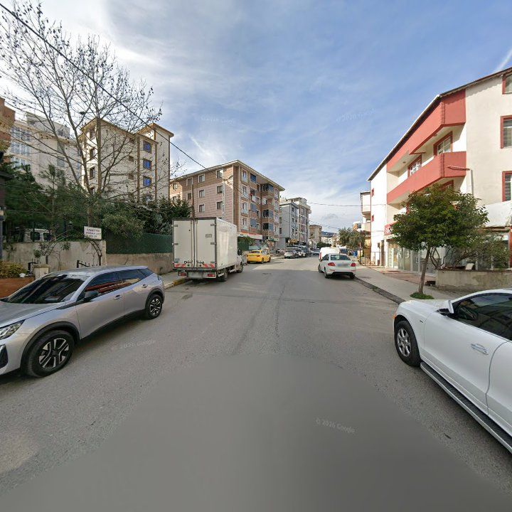 Fotoğraf 7