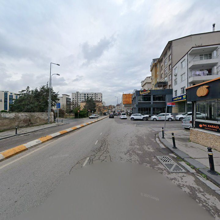 Fotoğraf 14