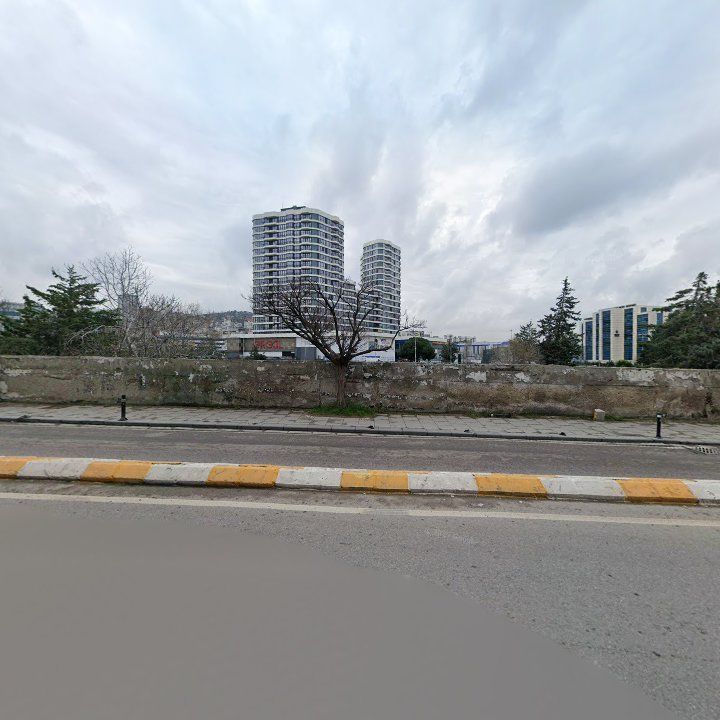 Fotoğraf 13