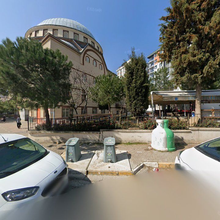 Fotoğraf 9