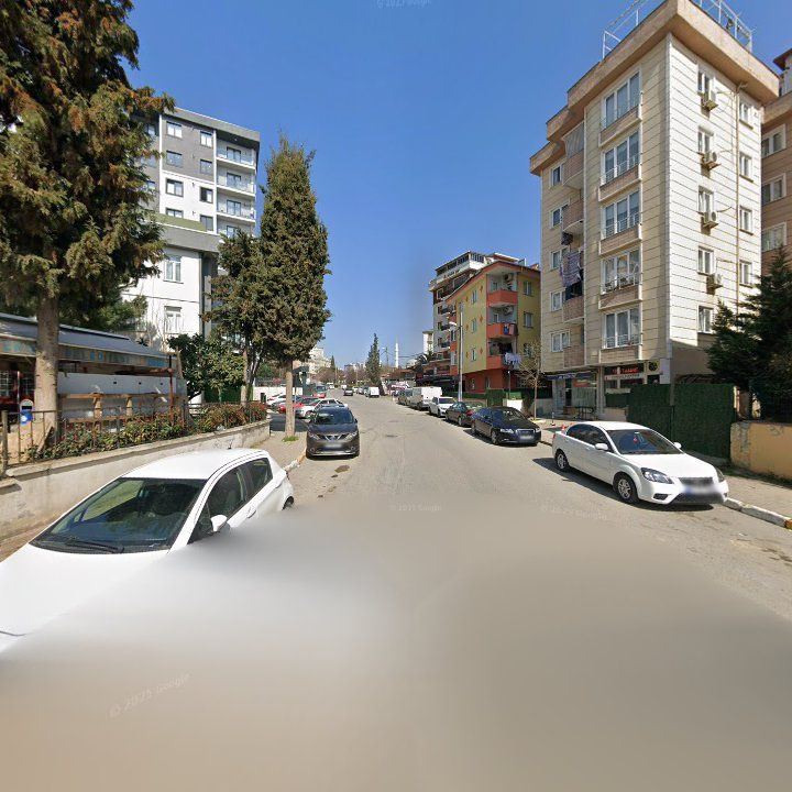 Fotoğraf 10