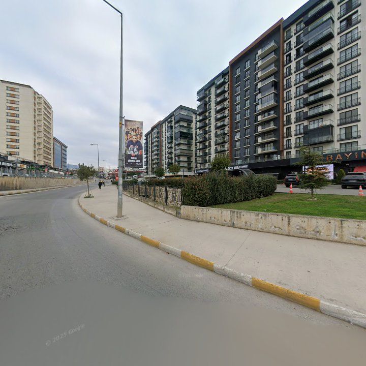 Fotoğraf 16