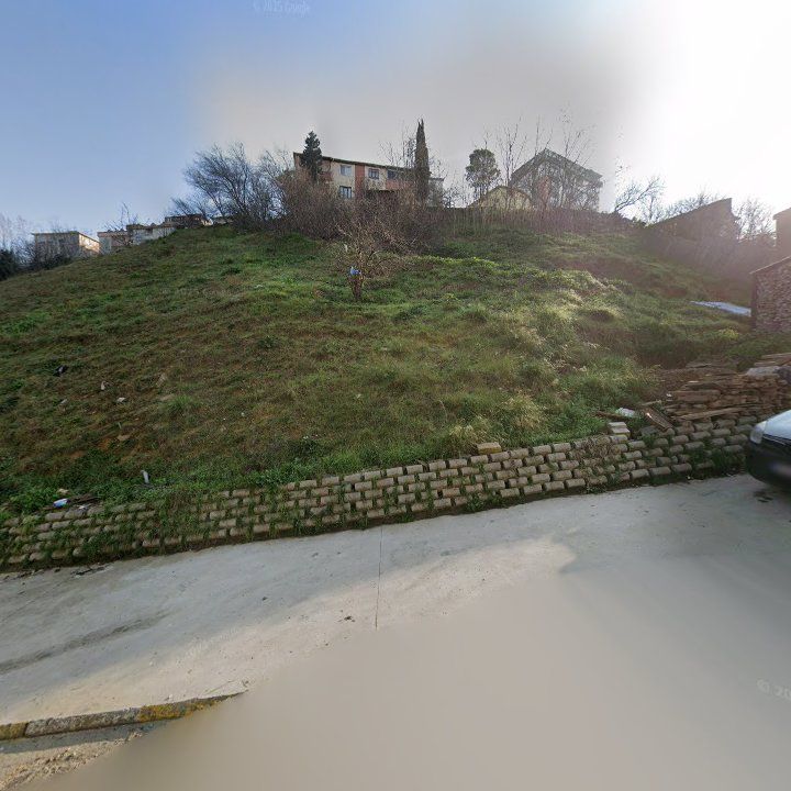 Fotoğraf 9