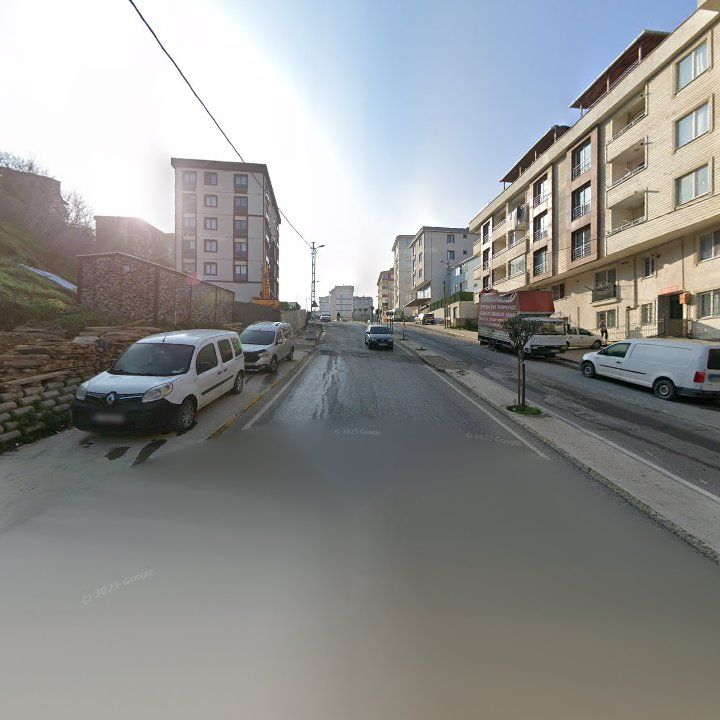 Fotoğraf 10