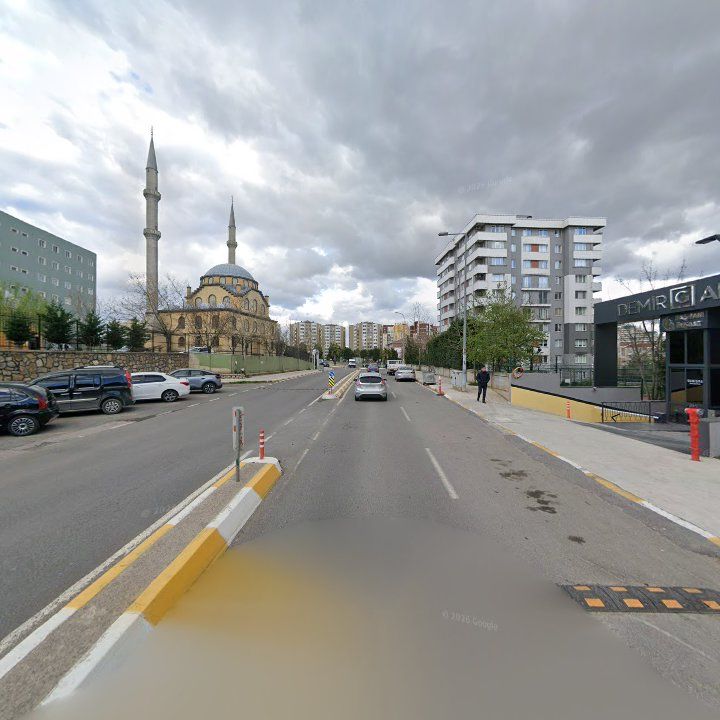Fotoğraf 11