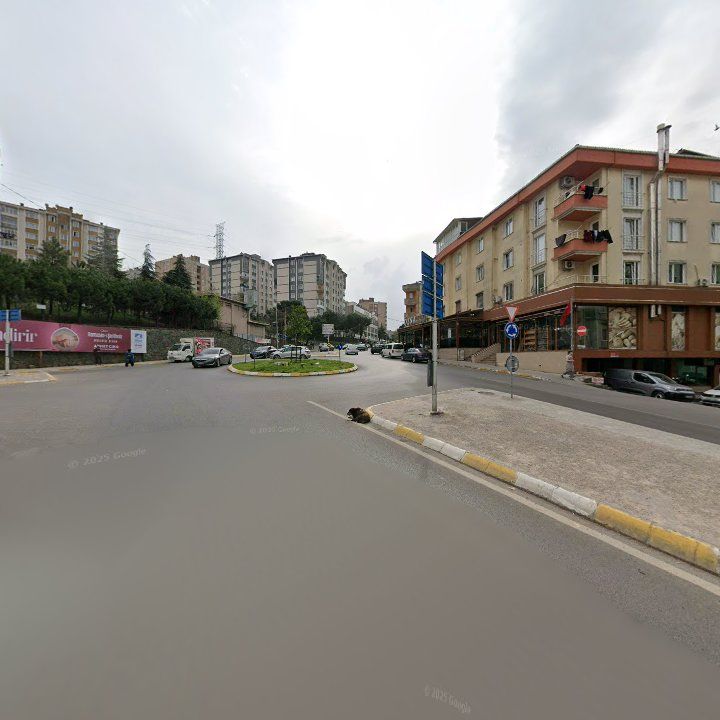 Fotoğraf 7