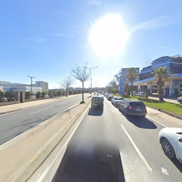 Fotoğraf 9
