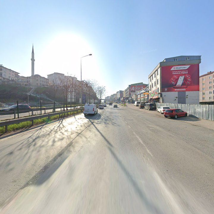 Fotoğraf 11