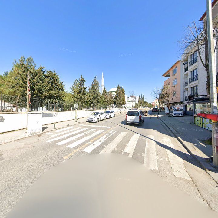 Fotoğraf 11