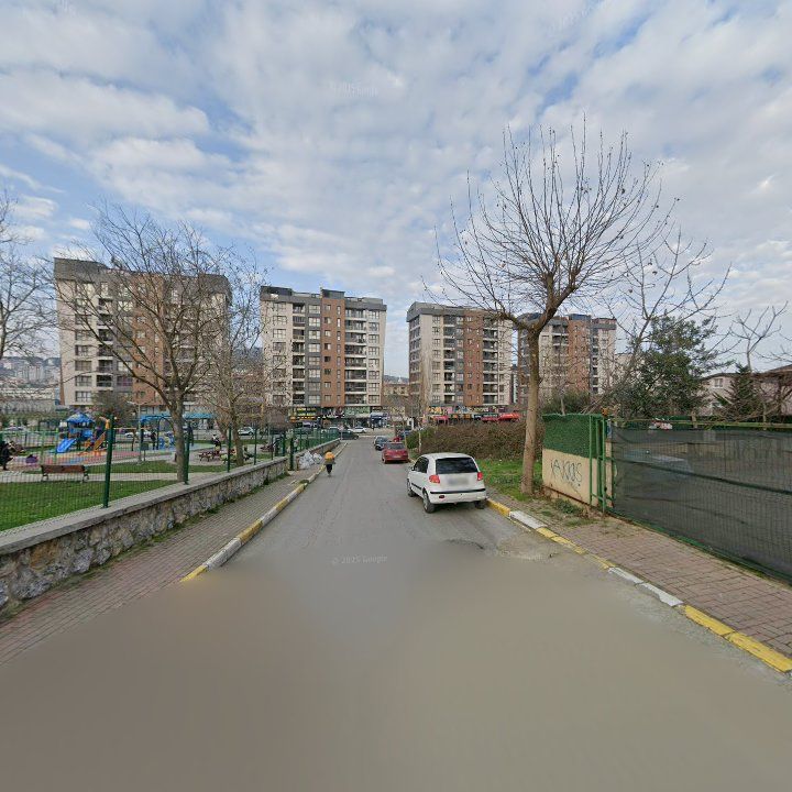 Fotoğraf 10