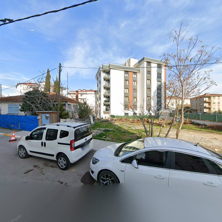 Fotoğraf 10