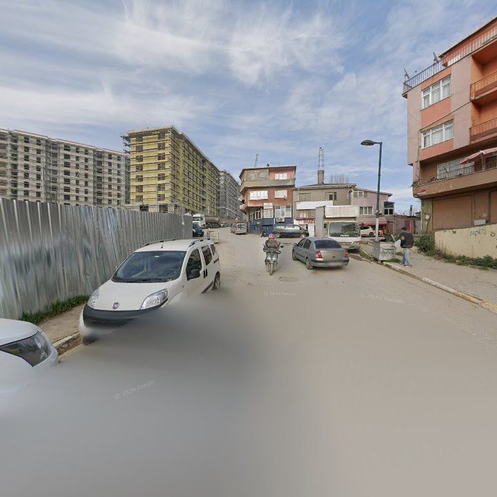 Fotoğraf 8