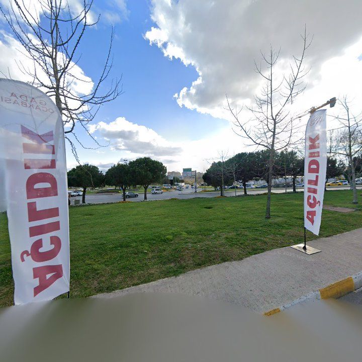 Fotoğraf 11