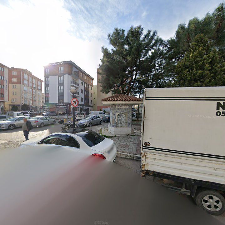 Fotoğraf 10
