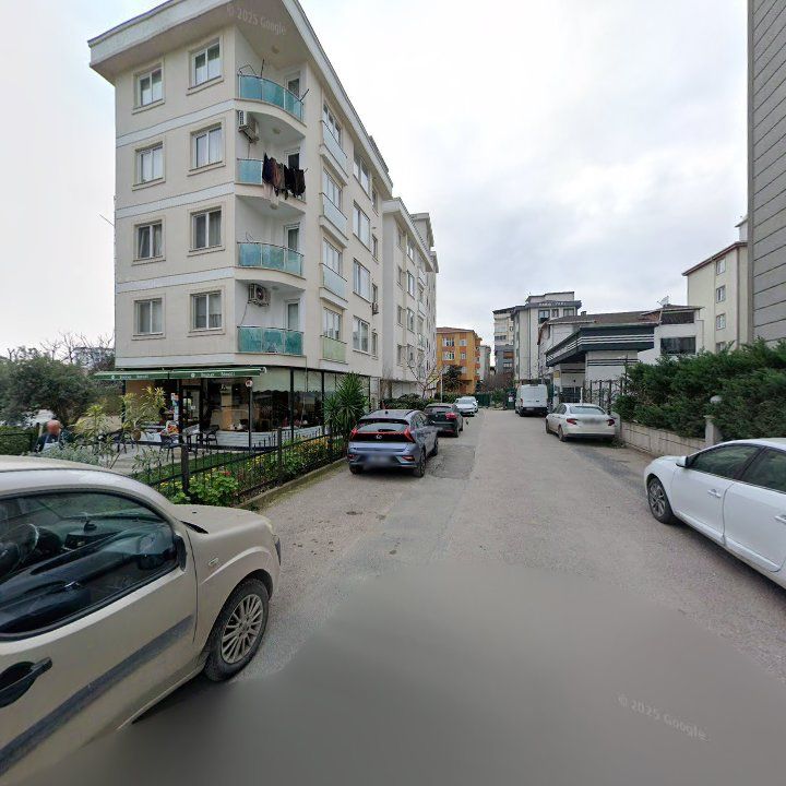 Fotoğraf 12