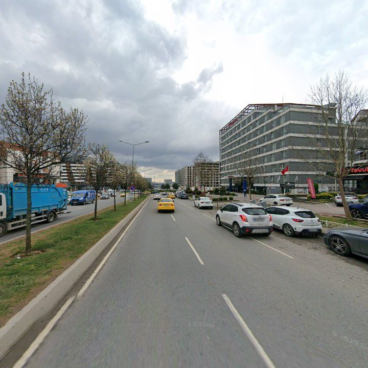Fotoğraf 12
