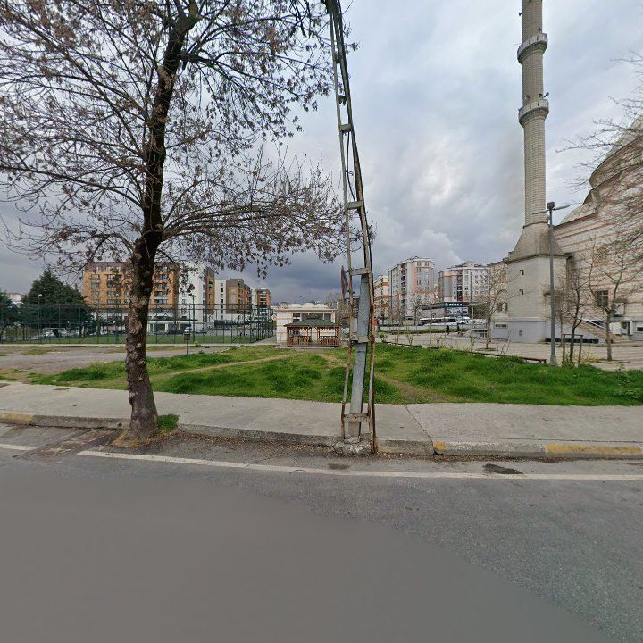 Fotoğraf 6