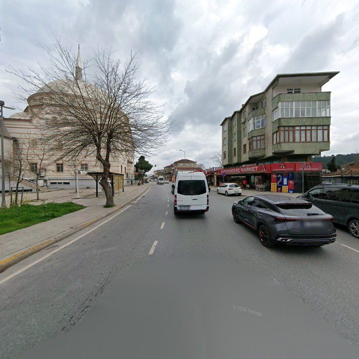 Fotoğraf 7