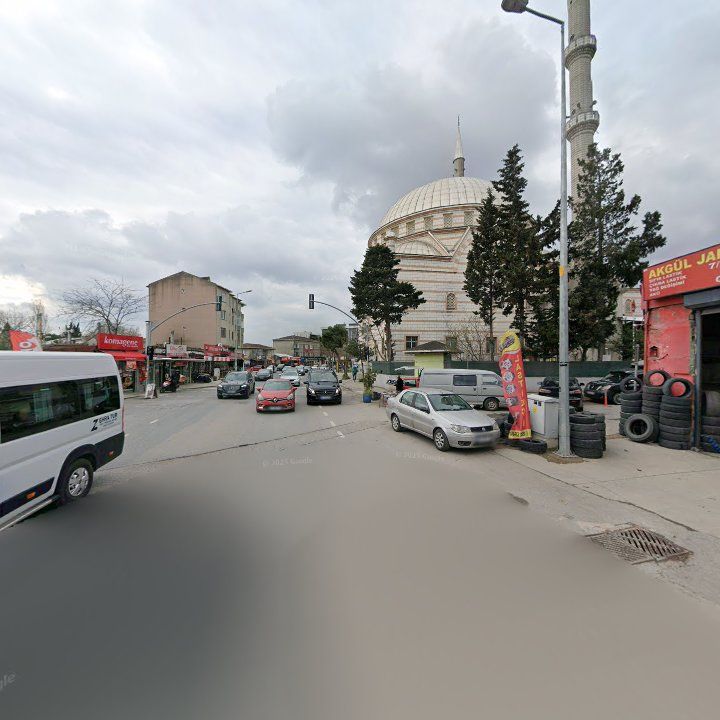 Fotoğraf 10