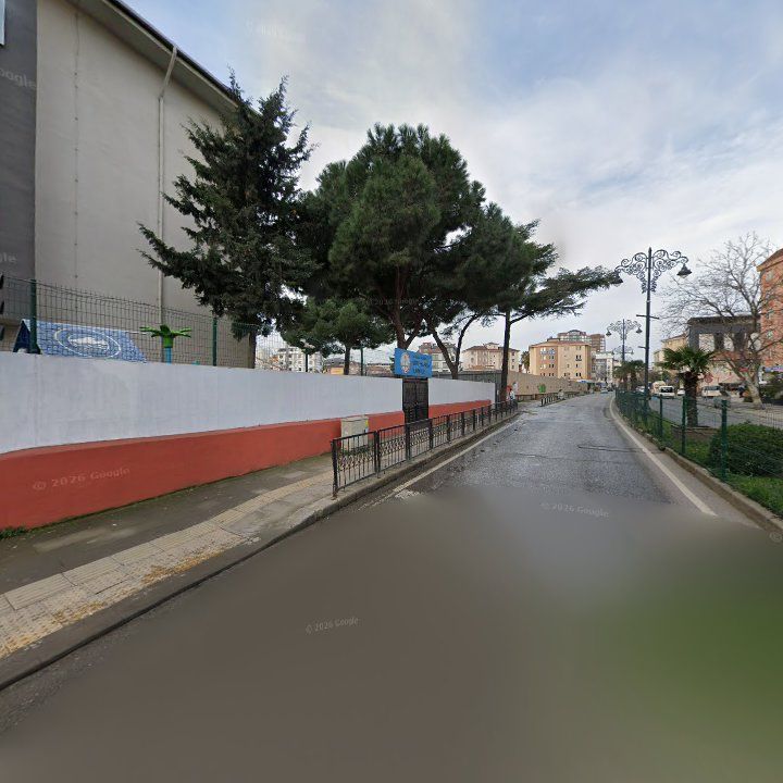 Fotoğraf 11