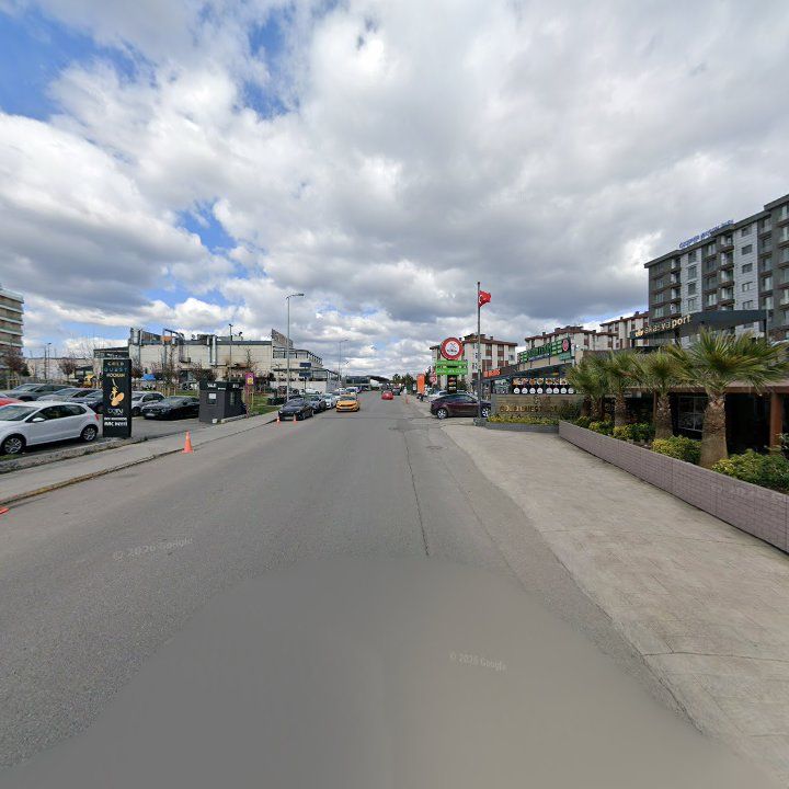 Fotoğraf 12