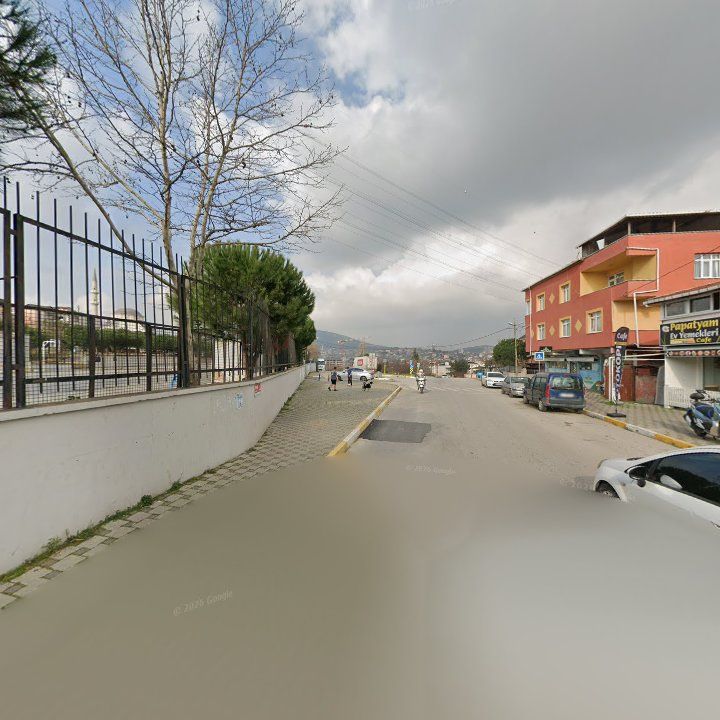 Fotoğraf 8