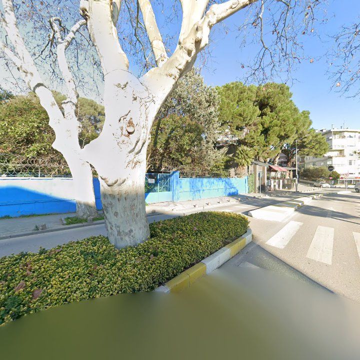 Fotoğraf 10