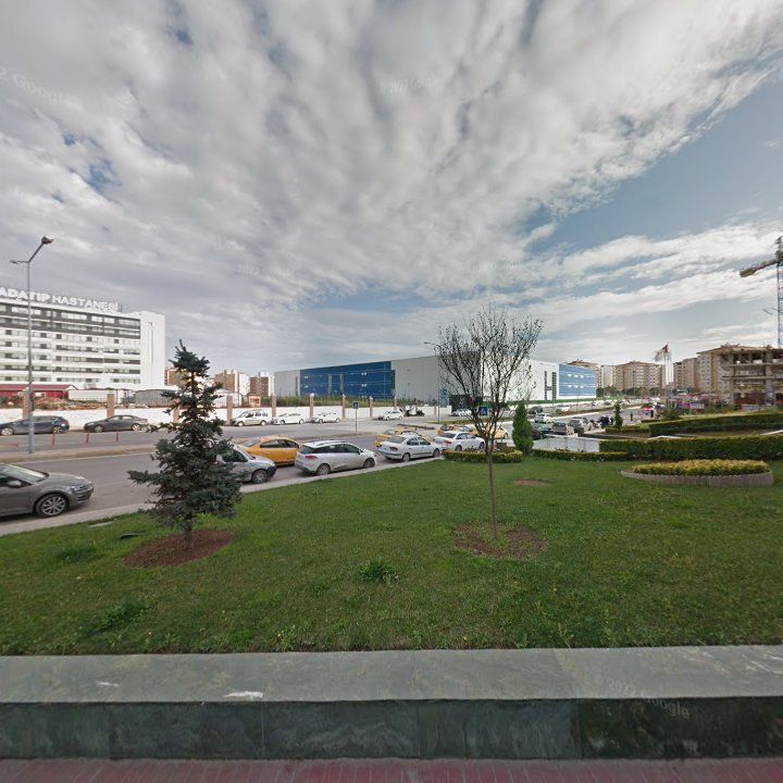 Fotoğraf 10