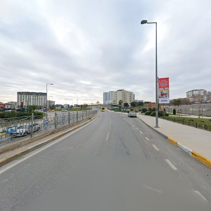 Fotoğraf 16