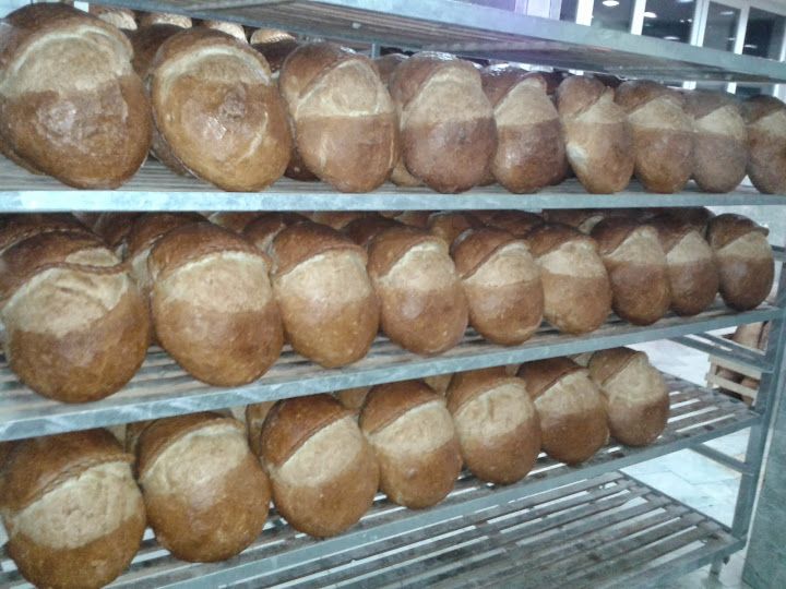 Has Vakfıkebir Ekmek Fırını