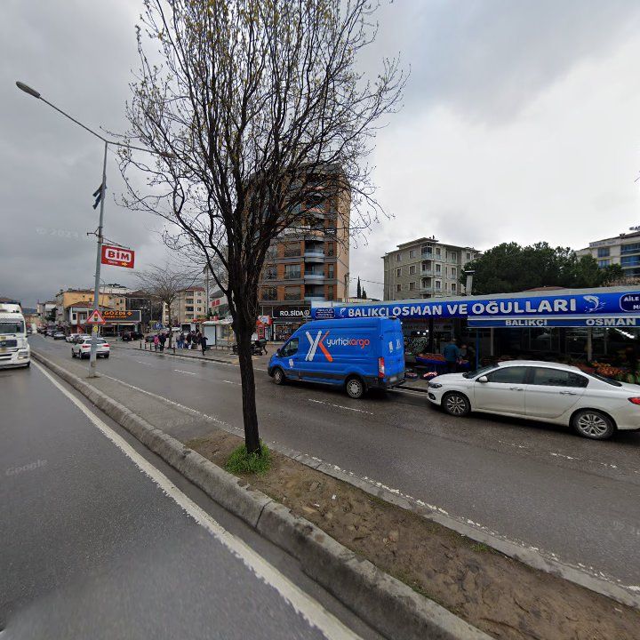 Fotoğraf 11