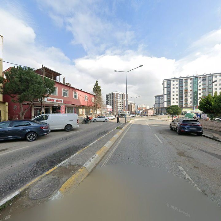 Fotoğraf 10
