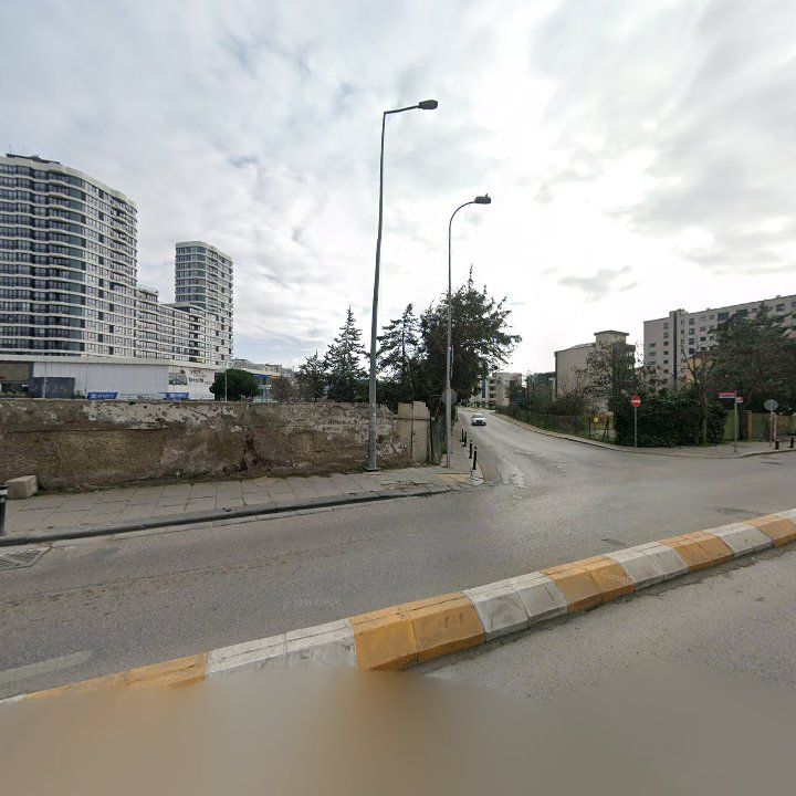 Fotoğraf 13