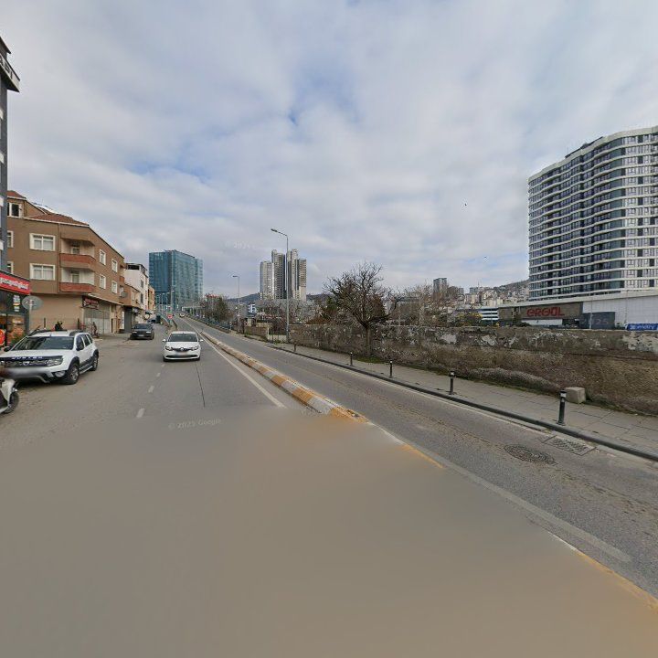 Fotoğraf 12