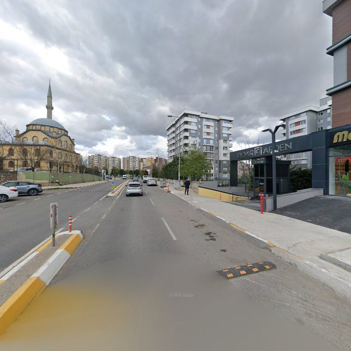 Fotoğraf 10